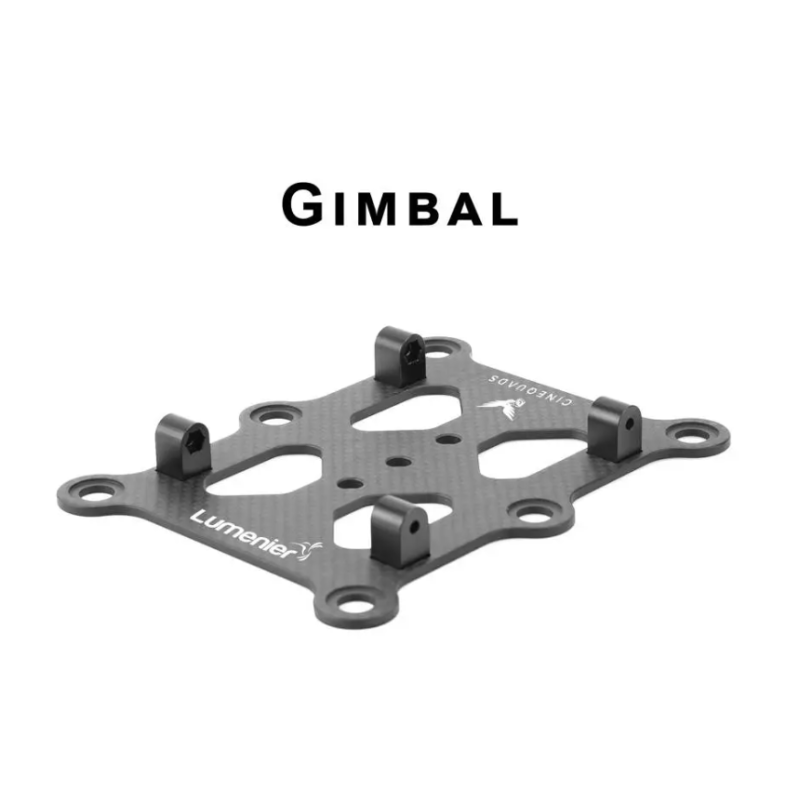 QAV-PRO Cinema Camera Mount By Lumenier - Image 3